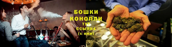 спиды Богданович