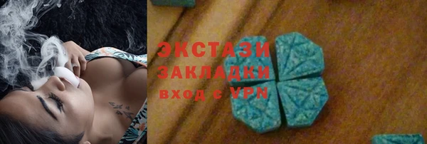 мдпв Богородицк
