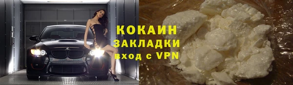 спиды Богданович