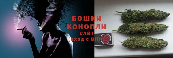 спиды Богданович