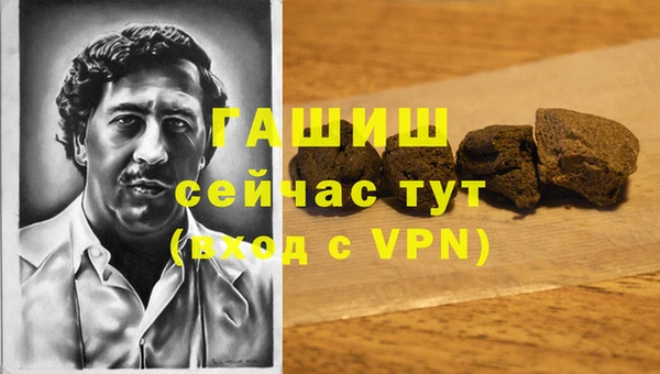 мдпв Богородицк