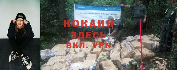 спиды Богданович