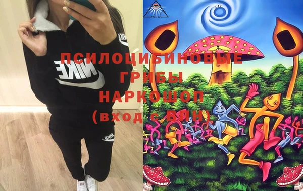 спиды Богданович