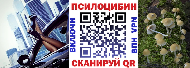 Псилоцибиновые грибы Cubensis  Грозный 